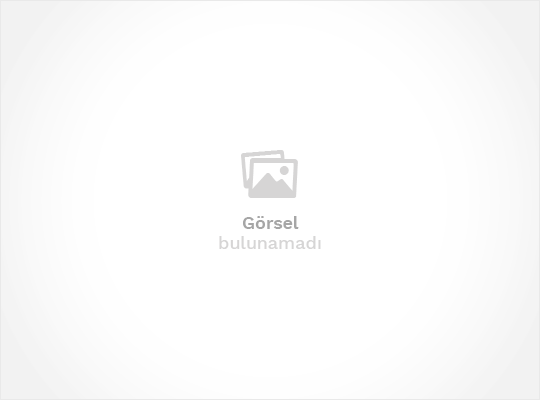BİLECİK PAZARYERİ İLÇESİ YÜZBAŞI MAHALLESİN DE SATILIK ARSA